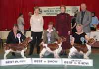 2003 BIS Winners